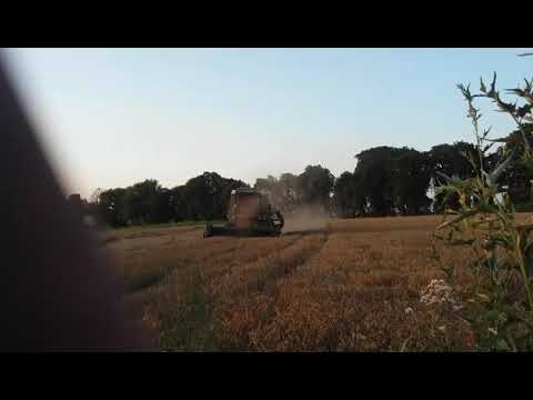 Żniwa 2019 gr wabienice Ursus C360 forschritt E 514