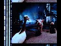 Babe Pig In The City 1998 35mm Film Trailer Open Matte 1 17 1 Ratio