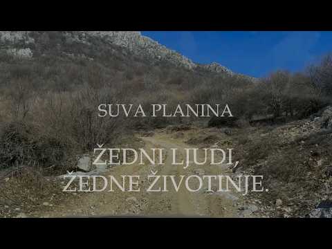 Suva planina ŽEDNI I LJUDI I ŽIVOTINJE - kako rešiti višegodišnji problem.