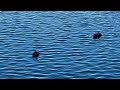 Soliloquy (Brubeck sample)