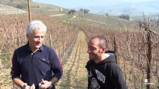 preview picture of video 'Live from the vineyard with Roberto Voerzio - puntata 2'