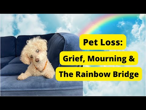 Pet Loss: Grief, Mourning, and The Rainbow Bridge
