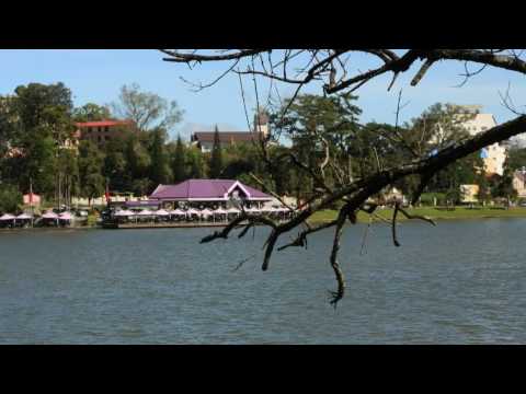 Đà Lạt khói sương - Tuấn Ngọc