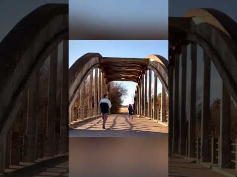 Viaje a Daireaux, Saavedra, sudoeste y Saldungaray.