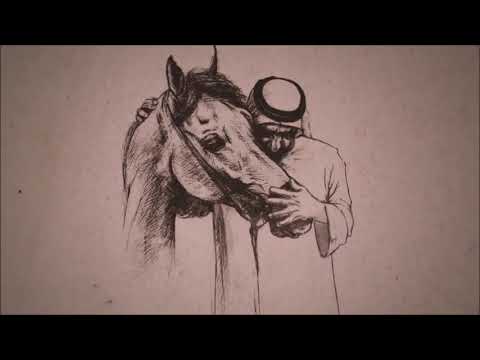 The Magnificent Horse "Dubai Millennium"  Record:10: 9-0-0