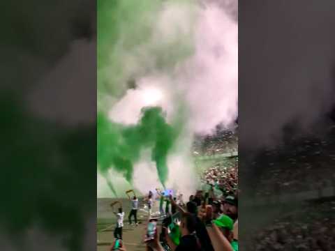 "Himnos Del Verdolaga " Barra: Los del Sur &bull; Club: Atlético Nacional &bull; País: Colombia