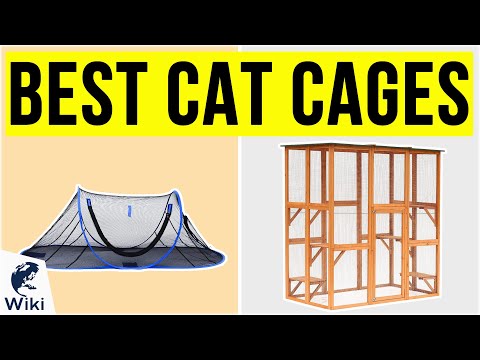 10 Best Cat Cages 2020