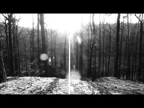 Poitín - Last Beautiful Loneliness