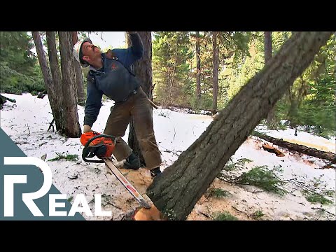 Lumberjack | Risk Takers | Episode 8 | FD Real Show