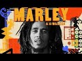 Bob Marley x Ami Faku - Redemption Song (Official Audio -:- 2023) - DiGiTΔL RiLeY