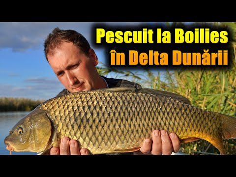 PESCUIT LA CRAP CU BOILIES IN DELTA DUNARII