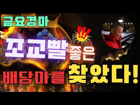 9월 12일(金) 부산금요-강백호- 조교빨 좋은 배당마를 찾았다~!  강백호의 따그닥 구독자 3.26천명  구독