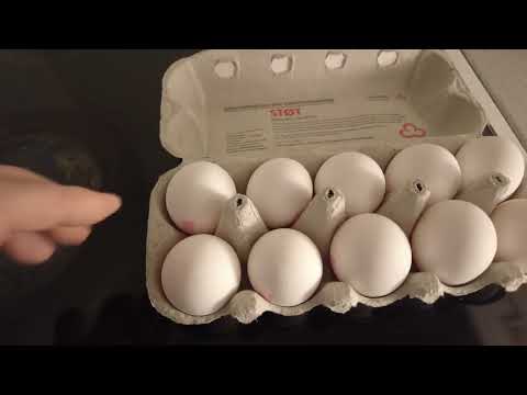 MongoTV_8300 - ENGLISH VLOG - Have a Good Monday - New WiFi Modem