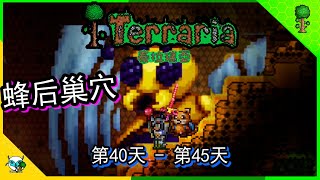 Terraria泰拉瑞亚 打败蜂后，丛林探索，神奇空间 day 40 45 （全字幕）