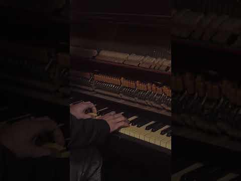 NIKKA - Dáma (Shorts 1)