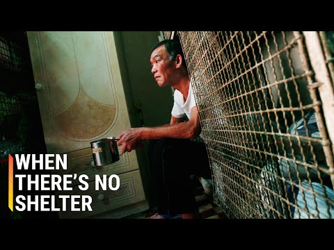 在6x3英尺的籠子裡生存的冠狀病毒家庭 (Surviving Coronavirus Inside a 6x3-Foot Cage Home)