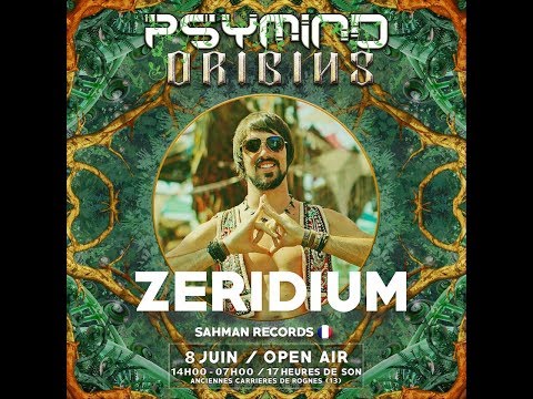 ZERIDIUM @ PSYMIND ORIGINES - ROGNES - 08 06 2019 Part 2