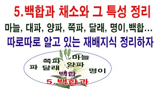 5. 백합과 채소와 그 특성. 마늘, 대파, 양파, 쪽파, 달래, 명이, 백합... 따로따로 알고 있는 재배…
