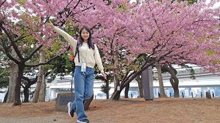 Download lagu 東京ライブ 💖🌸 学生時代の友達とお花見！浅草グルメ＆スカイツリー散歩！ ⛩️ mp3