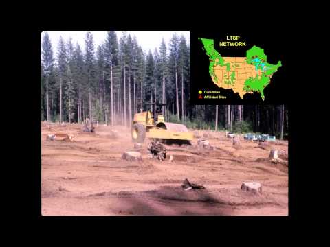 Diggin’ Dirt Fuel Reduction Practices and Their Effects on Soil Health