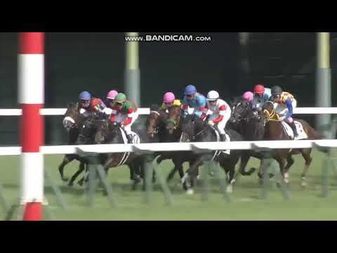 2018 Japanese Derby International Group 1 2400m