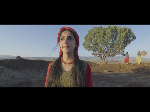 STUDYO MIZGÎN & SÎNE -  JIN ROJAVA -TOL