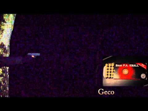 Röhm RG96 9mmPA - Munitionstest (Walther, Geco, Özkursan, Partizan, Geco Superflash) [HD]
