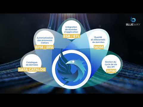 Gouvernance des données : Concentrez-vous sur l'essentiel, Blueway s'occupe du reste !