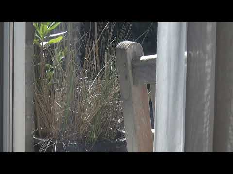 "Tok tok, is er iemand thuis?"