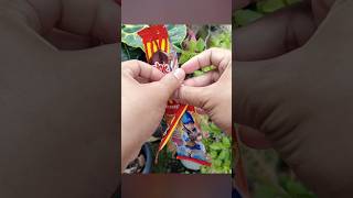 Best Boboiboy Card #357 #kartu #card