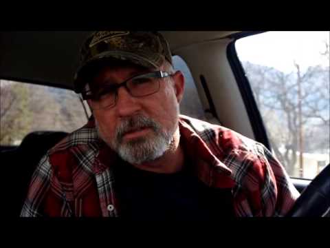 Hebrews 12  ISIS and The Broken Lion