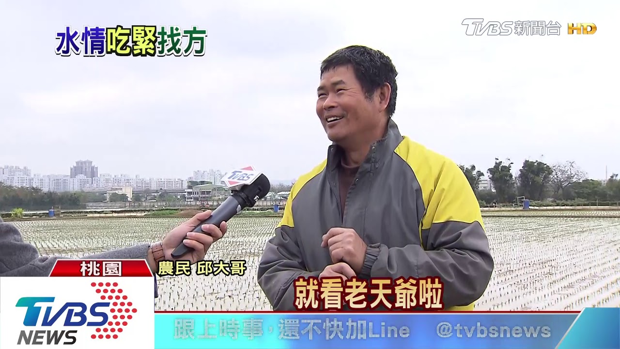 三月起桃園農田供水75折　觀音新屋首當其衝