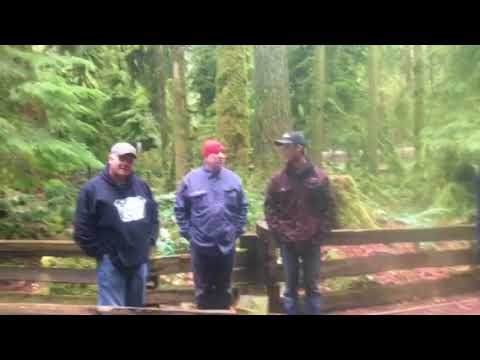 The bunker boys in a large stand of timber