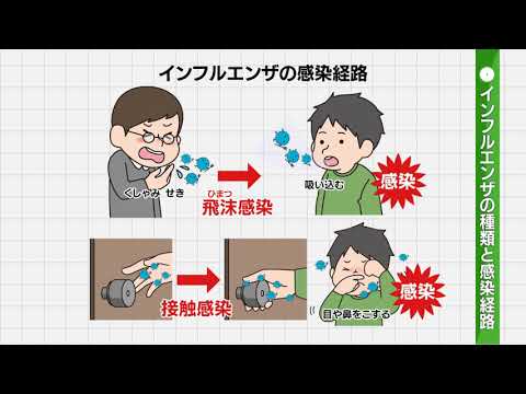 インフルエンザとアレルギー – 違いは何ですか?症状、予防、治療