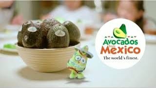 【10分耐久】Avocados🥑from Mexico🇲🇽