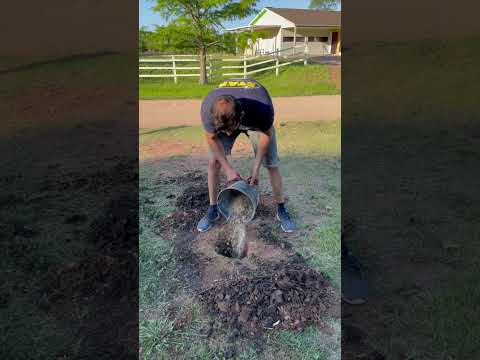 #shorts Colocación de Postes para cercado. SUSCRÍBETE para no perderte el video completo