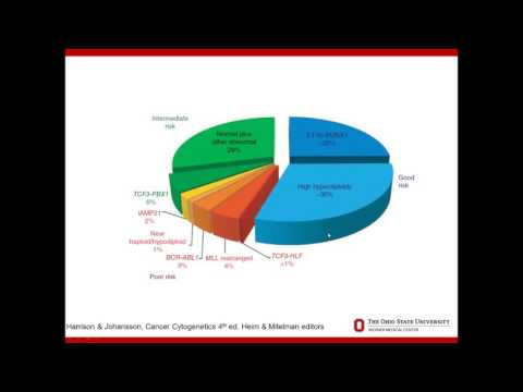 2016 10 27 12 02 Triumphs   Challenges in the Cytogenetics of Pediatric Acute Lymphoblastic Leukemia