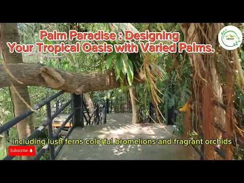 Palm Paradise : Designing Tropocal Oasis with Varied Palms | Palms Garden | Landscaping Ideas