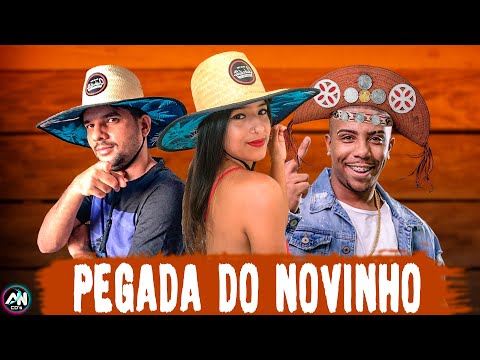 JULLIE DO PISEIRO e DJ DM, MC LUAN - PEGADA DO NOVINHO - PISEIRO MIX (AN CDs)
