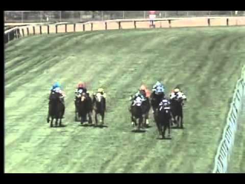 Pimlico 05/04/13 Race 3