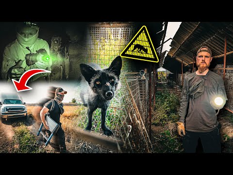 DIE TIERHÖLLE VON POLEN! BESITZER KOMMT! WIR MÜSSEN FLÜCHTEN!