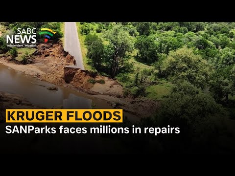 Limpopo, Mpumalanga floods declared national disaster - SABC News - Breaking news, special reports, world, business, sport coverage of all South African current events. Africa's news leader.