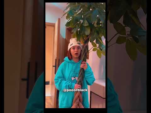 مامان اینو کجا بذارم؟😐😂