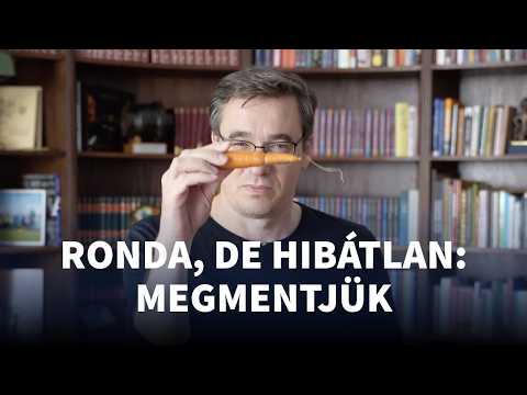 Nyertünk több mint 1 millió dollárt az élelmiszerpazarlás felszámolására! #Budapest