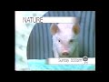 The Disney Channel Commercial Break November 22 1998