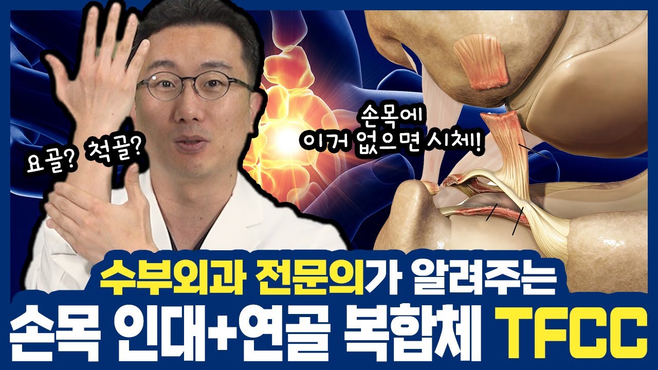 손목이 아플 땐 '이곳'을 먼저 확인해야 합니다! #손목통증 Part 1 (성남 #성모윌병원) 썸네일 이미지