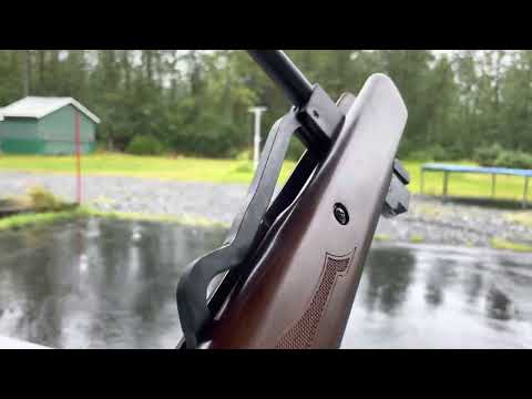 Hatsan Model 95, .25 cal - powerful but very pellet picky