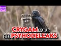 CRYGAM PARLE DES PSYHODELEAKS