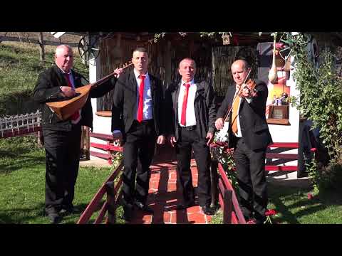 Milan stajic i milan lazarevic NOVO !