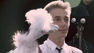 Afozic, Aperçu Vidéo